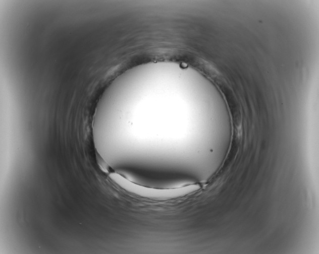X0000085791204200704091424
