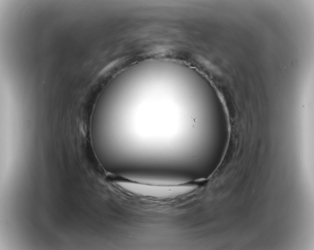 X0000085791206200704091424