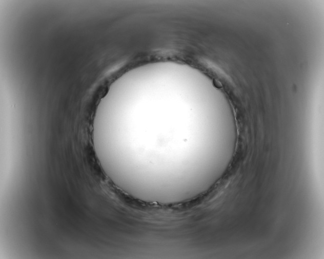 X0000085791207200704091424