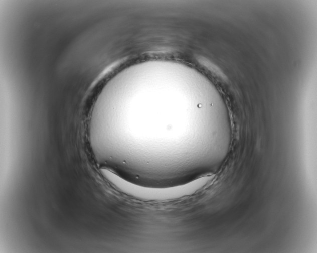 X0000085791208200704091424