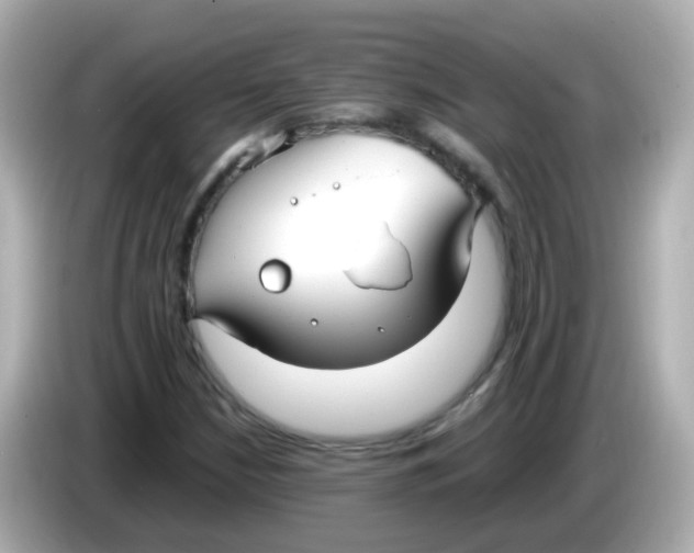 X0000085791210200704091424