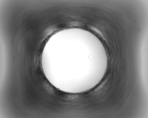 X0000085791211200704091424