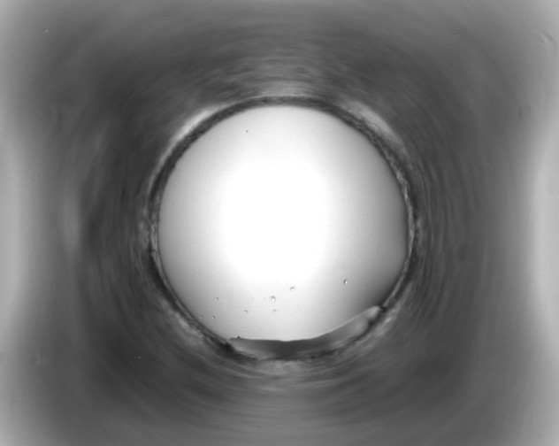 X0000085791212200704091424