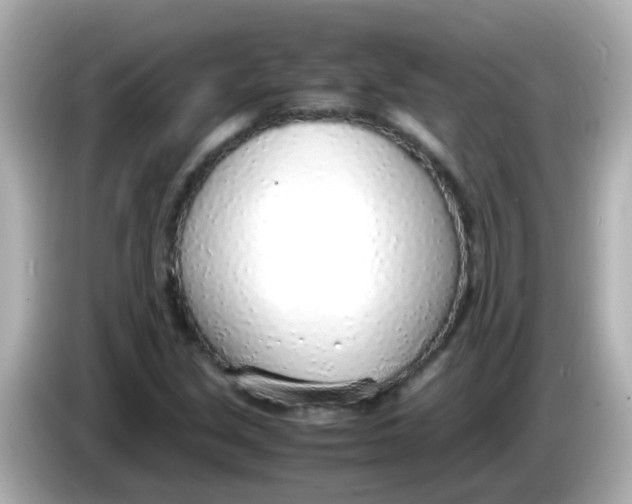 X0000085791213200704091424