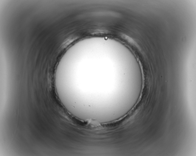 X0000085791217200704091424