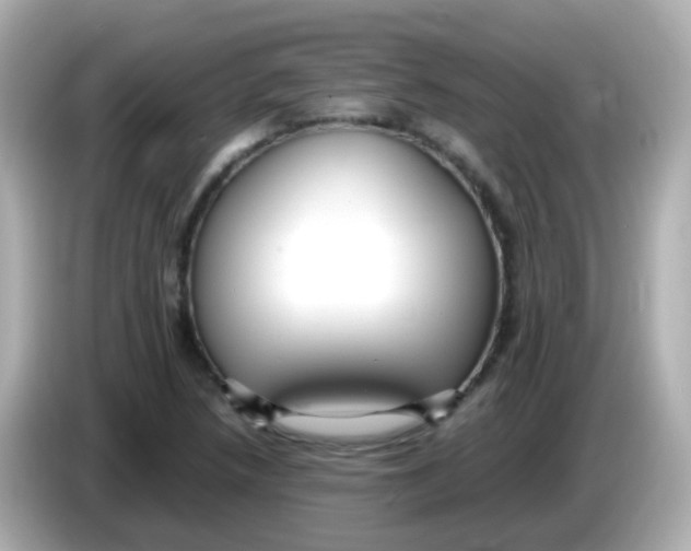 X0000085791218200704091424