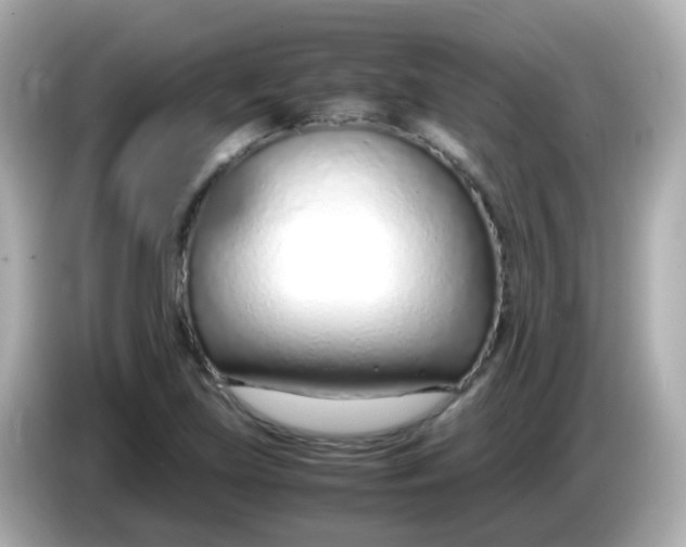 X0000085791219200704091424