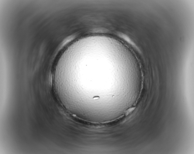 X0000085791221200704091424