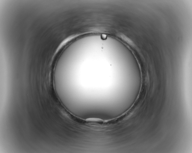 X0000085791222200704091424