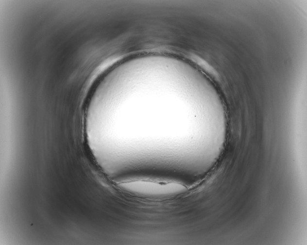 X0000085791223200704091424
