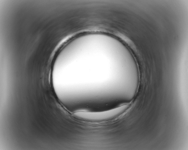 X0000085791224200704091424