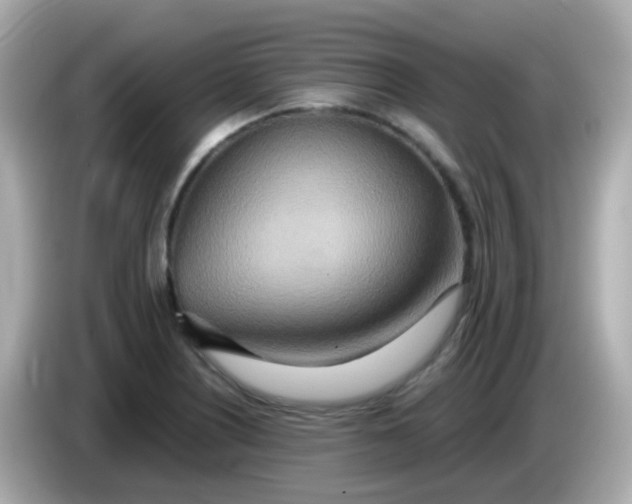 X0000085791226200704091424
