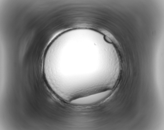 X0000085791228200704091424