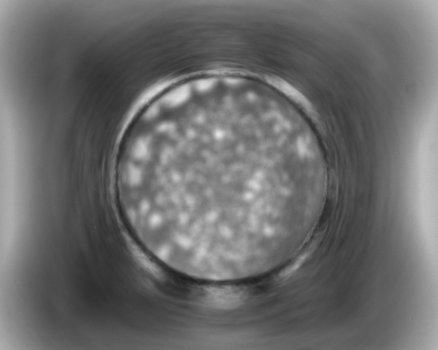 X0000085791231200704091424