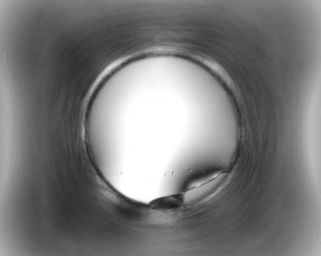 X0000085791232200704091424