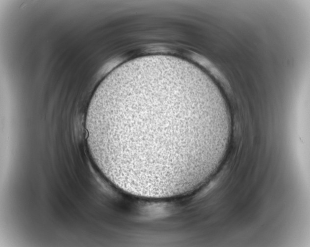 X0000085791233200704091424