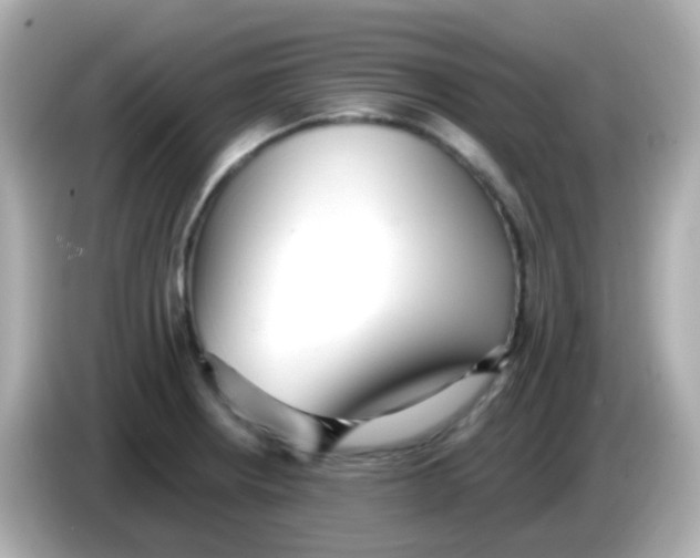 X0000085791234200704091424