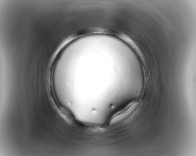X0000085791235200704091424