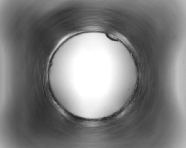 X0000085791236200704091424