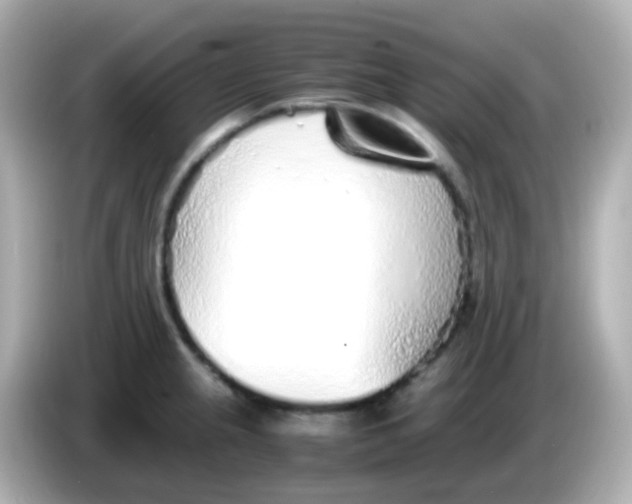 X0000085791237200704091424