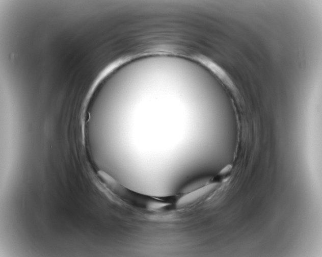 X0000085791238200704091424
