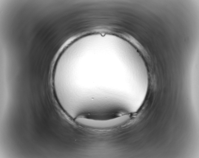 X0000085791240200704091424