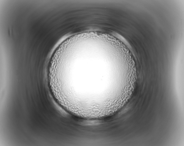 X0000085791243200704091425