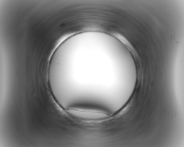 X0000085791244200704091425