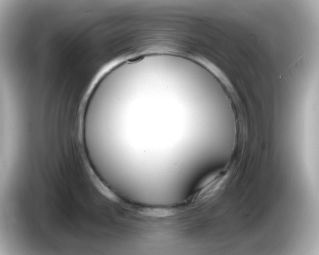 X0000085791246200704091425