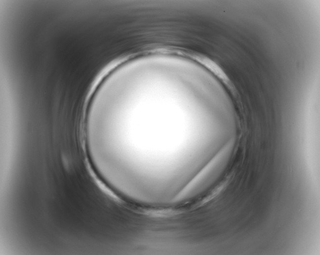 X0000085791247200704091425