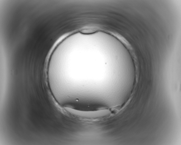 X0000085791248200704091425