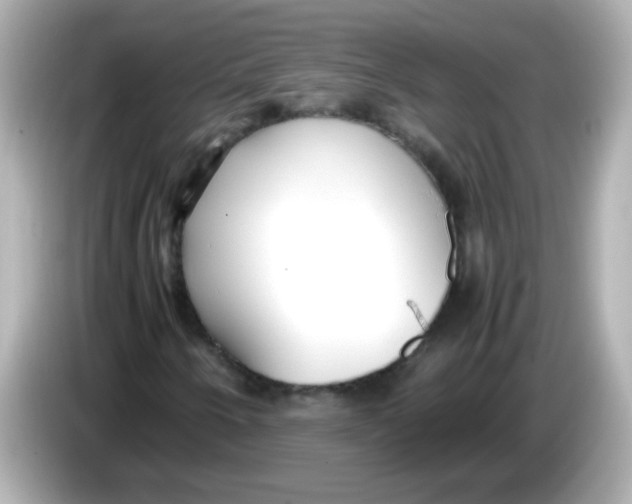 X0000085791250200704091424