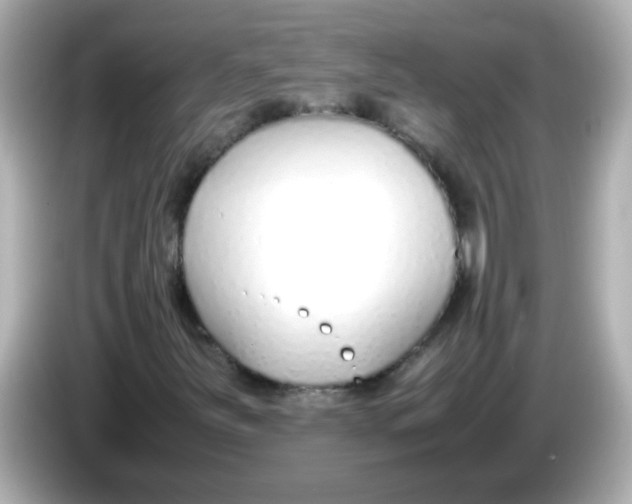 X0000085791251200704091424