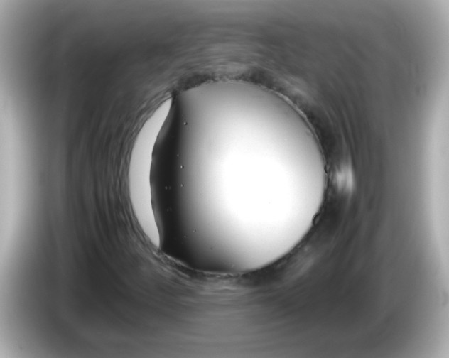 X0000085791252200704091424