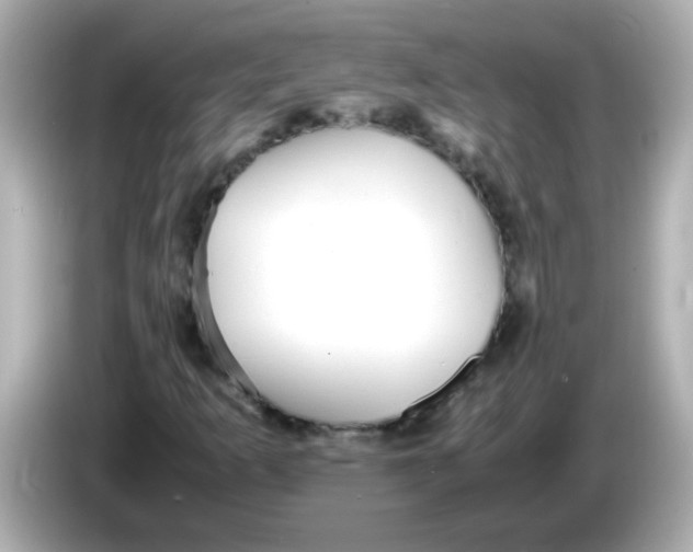 X0000085791253200704091424