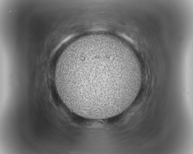 X0000085791255200704091424