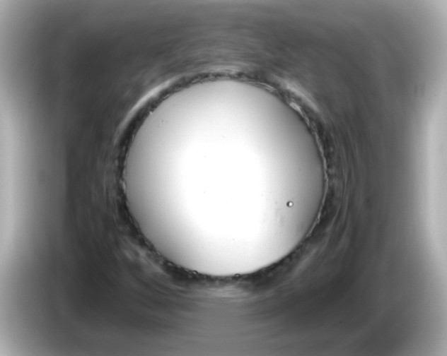 X0000085791256200704091424