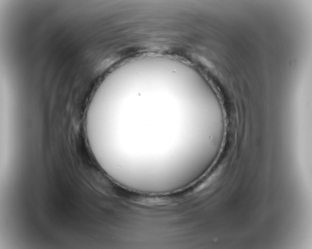 X0000085791257200704091424