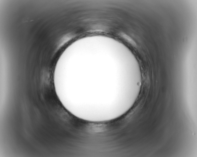 X0000085791258200704091424