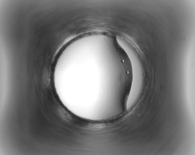 X0000085791260200704091424