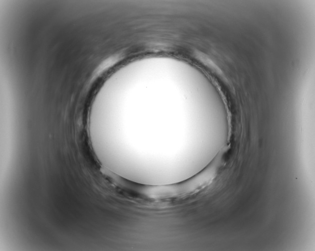 X0000085791261200704091424