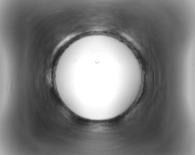 X0000085791262200704091424