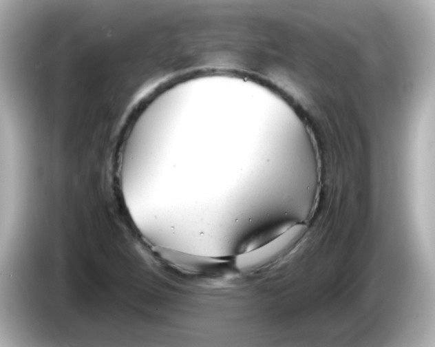 X0000085791264200704091424