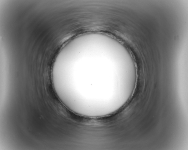 X0000085791265200704091424