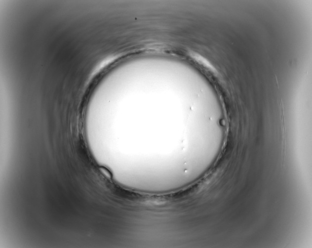 X0000085791267200704091424
