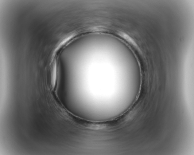 X0000085791269200704091424