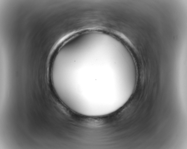 X0000085791270200704091424