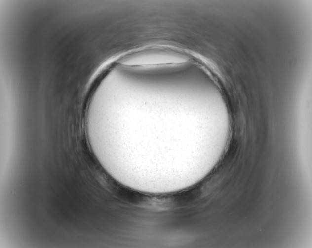 X0000085791271200704091424