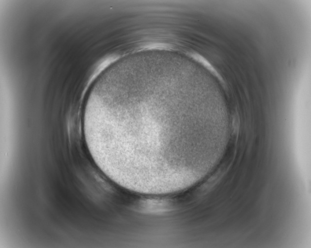 X0000085791274200704091424