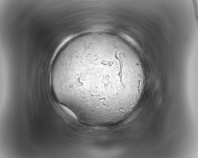 X0000085791275200704091424